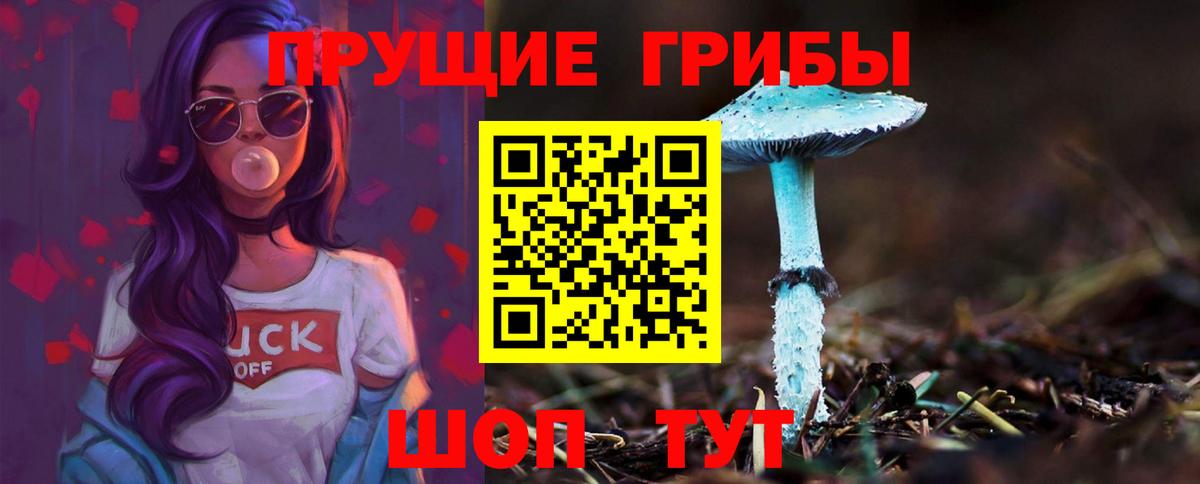Галлюциногенные грибы Cubensis Лесосибирск